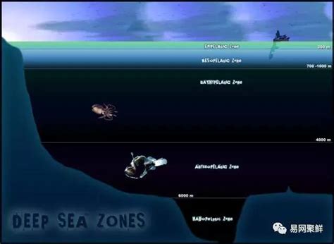 深海恐惧症勿点, 带你一起下潜深海一万米