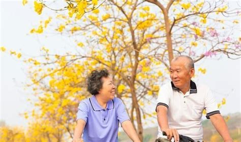 【退休老人的健身活动（续）摄影图片】上海中山公园生活摄影_太平洋电脑网摄影部落