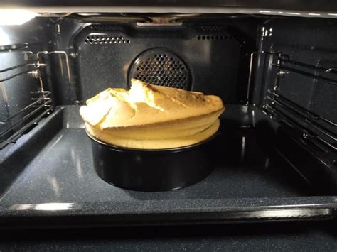 烤箱酸奶蛋糕（容易做）的做法_【图解】烤箱酸奶蛋糕（容易做）怎么做如何做好吃_烤箱酸奶蛋糕（容易做）家常做法大全_我是张君宝_豆果美食