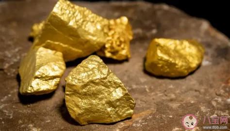 山东发现世界级巨型单体金矿床是真的吗 此次发现有什么意义 _八宝网