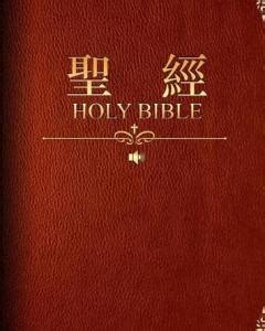 圣经 Holy Bible (豆瓣)