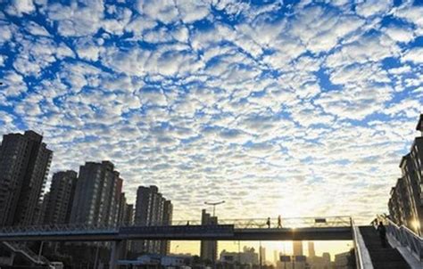江西永新日出时分现“鱼鳞云” 云朵层层叠叠波光闪闪-天气图集-中国天气网