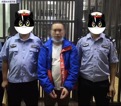 追凶二十余年：上海警方连破3起陈年命案_杨兴_老太_侦查
