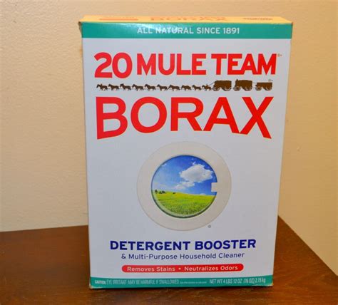 20 Mule Team Borax Review & Giveaway (Ends 2/16)