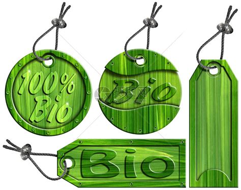 四个生物绿色标签100生物带有叶子背景插画图片下载-正版图片503225831-摄图网