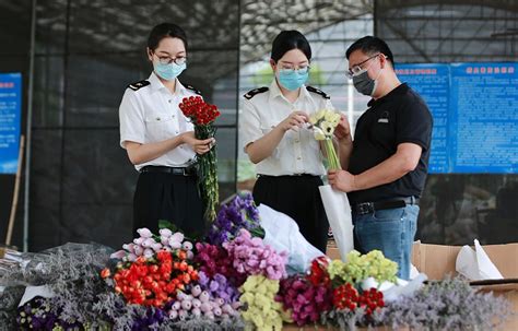 俄罗斯花卉展：中国企业迈进国际花卉市场的重要平台