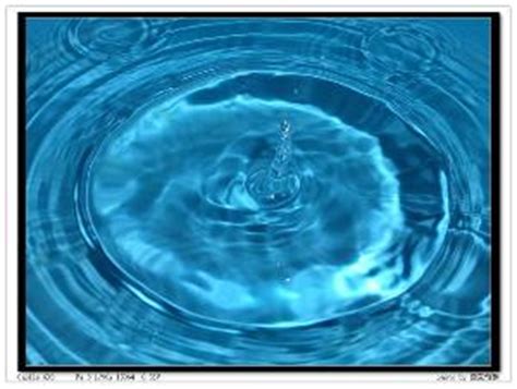 水面涟漪是如何形成的？简单的现象内藏大学问_运动