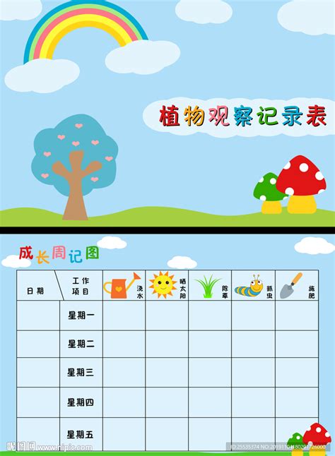 三年级植物记录卡作业玫瑰花-Word模板下载_编号qerbymyn_熊猫办公