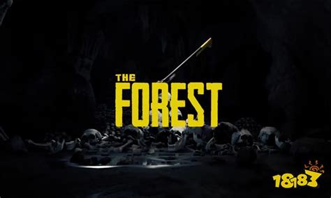 《工匠物语2》迷踪森林怎么走 迷踪森林通关路线流程攻略_九游手机游戏
