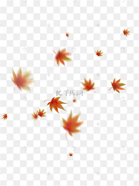 秋叶落和旋转孤立高清图片下载-正版图片503196203-摄图网