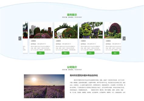 怎么在网上推销绿化苗木-致富经-中国花木网