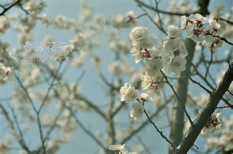 春暖花开|摄影|风光|汤梦辉 - 原创作品 - 站酷 (ZCOOL)
