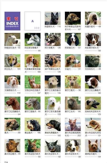 72种名犬名字，72种名犬小犬名字-酷派宠物网