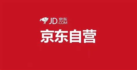 京东成2019战略性新兴产业百强企业互联网行业龙头 _驱动中国