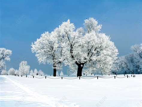 寒冷的天气山上积雪冬季徒步旅行高清图片下载-正版图片507358454-摄图网