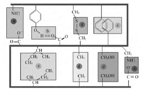 研究不同溶解氧浓度下短程硝化过程N2O产生途径