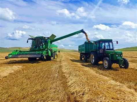 融通农发哈尔滨区域公司农机服务队开展跨区作业
