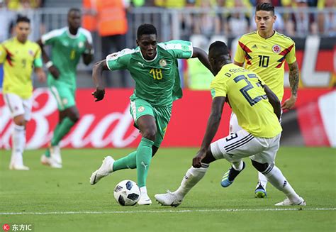 塞内加尔足球厉害吗？(世界杯积分榜最新排行2022？) -LS体育号