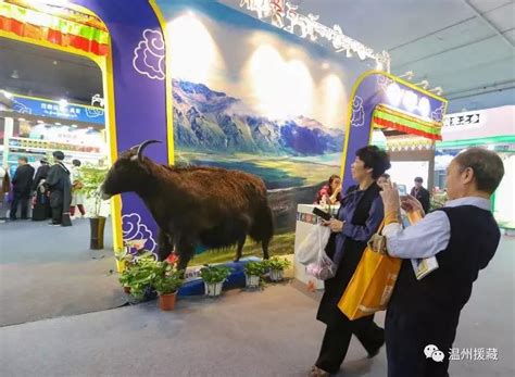 西藏创新传统产业力促经济转型_荔枝网新闻