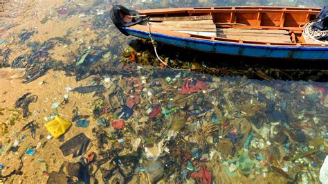 太平洋垃圾带或成“第八大陆”，巨型垃圾岛有六分之一个中国大！