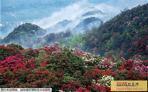 大方十大景点_贵州省毕节市大方县十大旅游景点排名