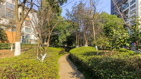 当代国际花园园区内冬日景色（20140114）-武汉搜房网