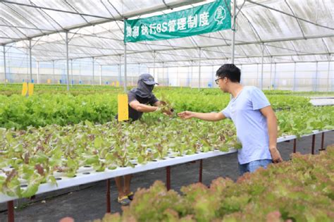 农业新媒体联盟为中国农交会及展商线上宣传保驾护航 - 热点新闻 - 新农资360网|土壤改良|果树种植|蔬菜种植|种植示范田|品牌展播|农资微专栏
