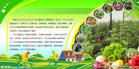 有机蔬菜海报设计图片_海报_编号8855187_红动中国