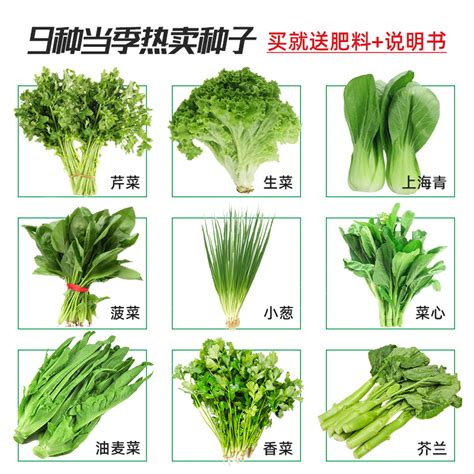 蔬菜集合-快图网-免费PNG图片免抠PNG高清背景素材库kuaipng.com