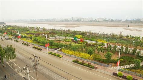 渭滨北路-施工案例-常州夏溪园林绿化工程有限公司【官方网站】