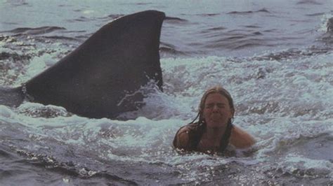 凶猛的大白鲨害怕的是什么？-国际环保在线