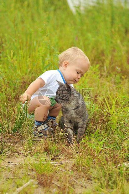 可爱的男孩玩猫猫宠物喜悦童年动物微笑乐趣快乐男生幸福小猫高清图片下载-正版图片320862739-摄图网
