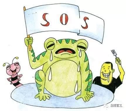 江西九江：青蛙的死亡之地，谁来拯救？-国际环保在线