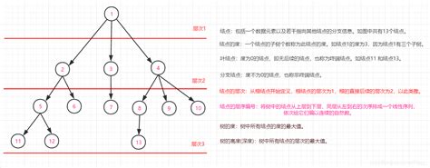 树型结构--树的定义和基本术语(十六)_树的高度(深度) :树中所有结点的层次的最大值。-CSDN博客