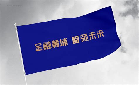 上海高级金融学院品牌标志设计 LOGO设计_豪禾品牌咨询-站酷ZCOOL