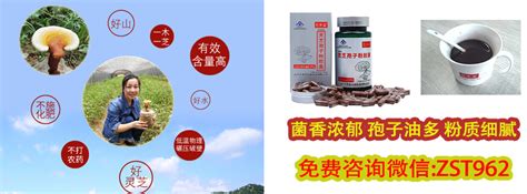 破壁灵芝孢子粉_上海__保健食品-食品商务网