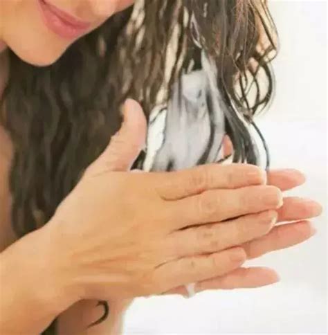 shampoo是什么意思，洗发水(conditioner是护发素) — 久久经验网