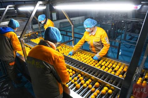 走进区域看发展｜C视频⑥ 探访潼南柠檬精深加工生产线 如何将一个柠檬“吃干榨净”-大河网