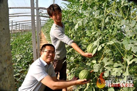 河南睢县“互联网+果蔬”拓宽了销售渠道 - 地方动态 - 第一农经网