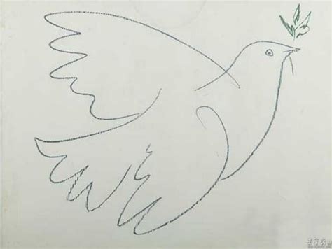 如何评价毕加索的作品《和平鸽》？_毕加索论坛_太平洋汽车论坛