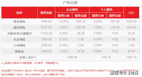 广州市社保个人交多少钱 广州自己买社保多少钱一个月