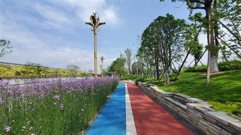 淄博高新区文体公园 景观设计 / 怡境设计 | 特来设计
