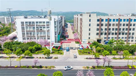 广西柳州市柳南区工业振兴挺起高质量发展脊梁_手机新浪网