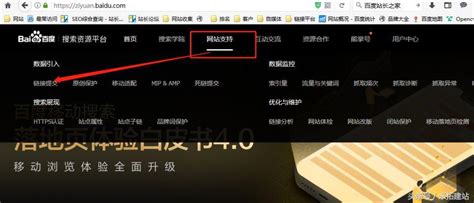 百度已全面支持中文域名 收录不再是问题_誉名网新闻资讯