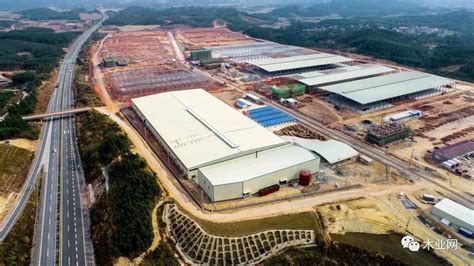 广西来宾兴宾区木材加工业年产值突破58.3亿元！-建材网