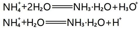 高考化学 电离与水解有什么区别? - 知乎