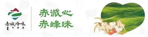 赤峰市全域区域公用品牌“表述语”及“logo”有奖征集结果公告-设计揭晓-设计大赛网