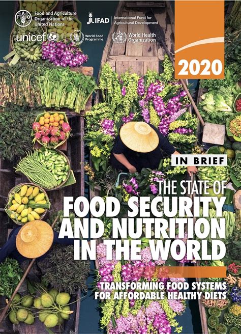 联合国粮农组织发布世界粮食安全和营养状况报告：实现2030年零饥饿目标仍然遥远|联合国粮农组织|粮食安全|新冠肺炎_新浪新闻