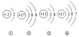 如图所示是四种微粒的结构示意图，以下对于相关微粒的描述不正