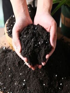 纯泥炭土 绿色自然腐殖土 营养土黑土种花土种植土花土腐叶泥土-阿里巴巴
